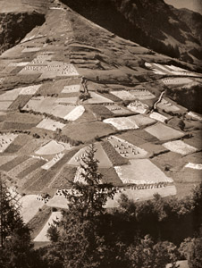 アルプス風景（サヴォイ高地） [ブラッシャイ, アサヒカメラ 1953年7月号より]のサムネイル画像