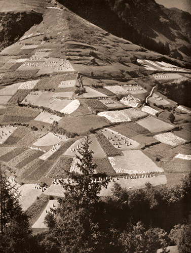アルプス風景（サヴォイ高地） [ブラッシャイ, アサヒカメラ 1953年7月号より] パブリックドメイン画像 