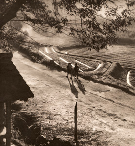 街道の朝 [佐藤弘一, アサヒカメラ 1939年12月号より]のサムネイル画像