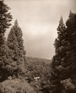 赤倉 [南実, アサヒカメラ 1939年12月号より]のサムネイル画像