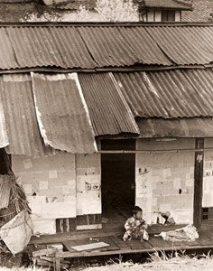 五春吉報 [野村秋良, アサヒカメラ 1939年12月号より]のサムネイル画像