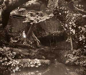 池辺 [渡辺義雄, アサヒカメラ 1950年1月号より]のサムネイル画像