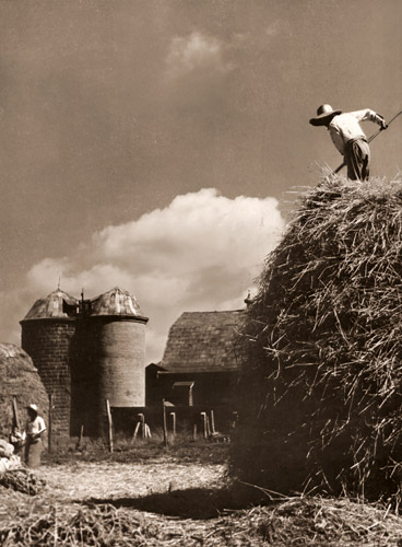 牧場風景 [虎谷一, アサヒカメラ 1949年11月号より] パブリックドメイン画像 