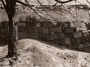 春日 [山田廣次, アサヒカメラ 1952年4月号より]のサムネイル画像