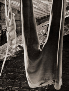 不明（洗濯物と屋根の上にいる猫） [エドゥアール・ブバ, アサヒカメラ 1952年4月号より]のサムネイル画像