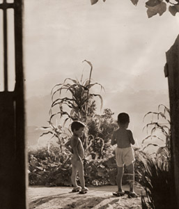 山間の朝 [長谷玄陽史, 1949年, アサヒカメラ 1951年1月号より]のサムネイル画像