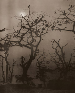 静寂堺 [岡正樹, アサヒカメラ 1951年1月号より]のサムネイル画像