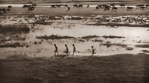 風景 [高島光司, アサヒカメラ 1951年1月号より]のサムネイル画像