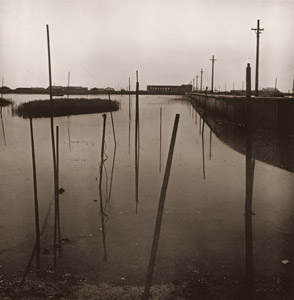 棒杭のある沼地 [三木淳, アサヒカメラ 1951年1月号より]のサムネイル画像