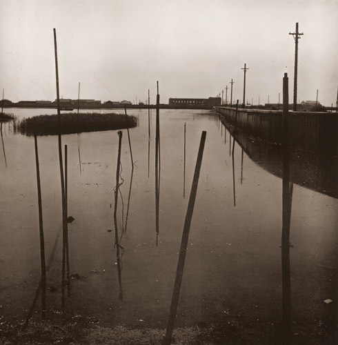 棒杭のある沼地 [三木淳, アサヒカメラ 1951年1月号より] パブリックドメイン画像 