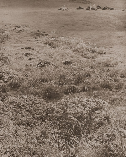 草原（木戸池附近） [魚住励, アサヒカメラ 1951年1月号より] パブリックドメイン画像 