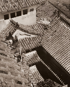 白鷺城の屋根瓦 [大上智, 1950年, アサヒカメラ 1951年5月号より]のサムネイル画像