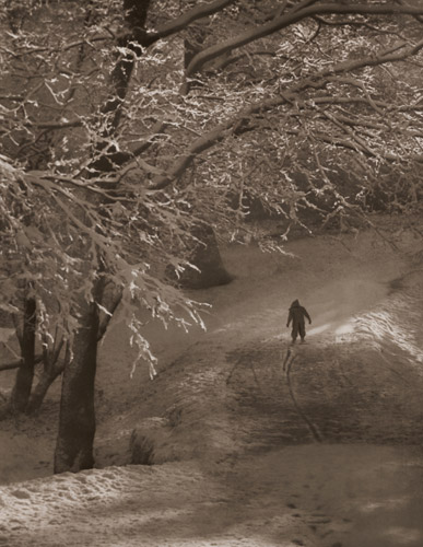 樹氷の朝 [長谷川耕, アサヒカメラ 1951年5月号より] パブリックドメイン画像 