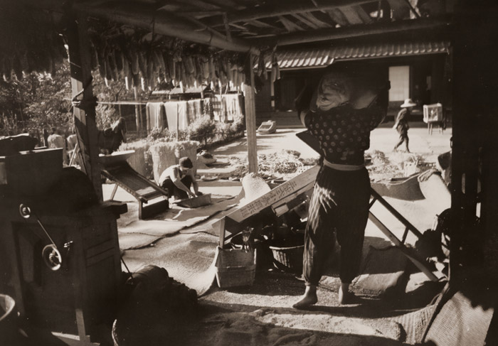 脱穀 [青木忠久, アサヒカメラ 1955年3月号より] パブリックドメイン画像 