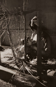 一休みする母子 [小西朝一, アサヒカメラ 1955年3月号より]のサムネイル画像
