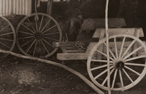納屋 #2 [植田正治, アサヒカメラ 1955年3月号より]のサムネイル画像