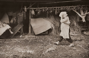 納屋 #1 [植田正治, アサヒカメラ 1955年3月号より]のサムネイル画像