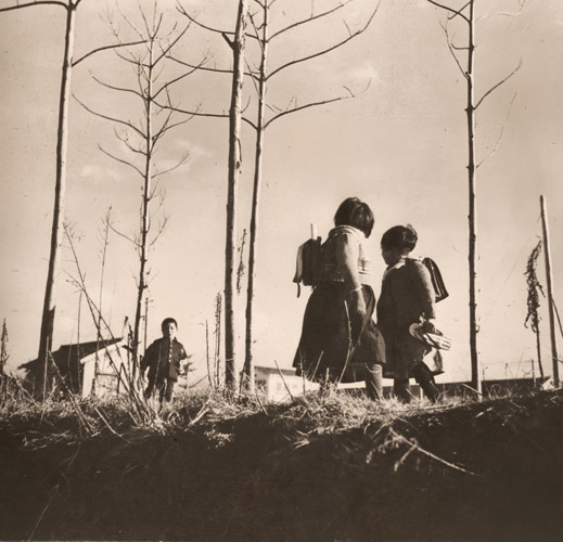 冬枯 [篠田弘, アサヒカメラ 1940年1月号より] パブリックドメイン画像 