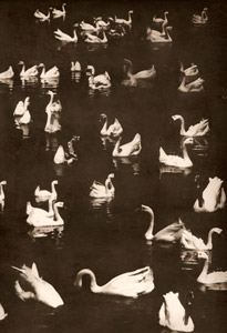神話の池 [矢野敏延, アサヒカメラ 1940年1月号より]のサムネイル画像