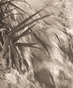流れ [奧田昌亮, アサヒカメラ 1940年1月号より]のサムネイル画像