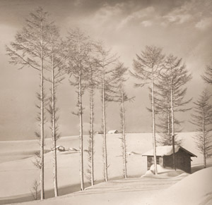 雪晴の晨 [橋本泰, アサヒカメラ 1940年1月号より]のサムネイル画像