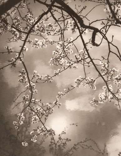 水辺の春 [西川清久, アサヒカメラ 1940年1月号より] パブリックドメイン画像 