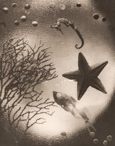 金魚の夢 [楫野公男, アサヒカメラ 1940年1月号より]のサムネイル画像