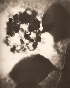 梅雨の表情 [松原勝平, アサヒカメラ 1940年1月号より]のサムネイル画像