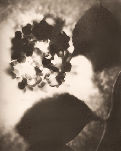 梅雨の表情 [松原勝平, アサヒカメラ 1940年1月号より] パブリックドメイン画像 