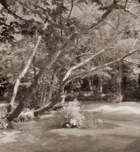 奥入瀬渓流 [紅谷吉之助, アサヒカメラ 1940年1月号より]のサムネイル画像