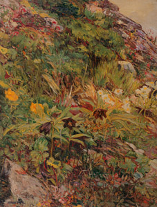 高山植物 [吉田博, 1913-1926年, 近代風景画の巨匠 吉田博展 清新と抒情より]のサムネイル画像