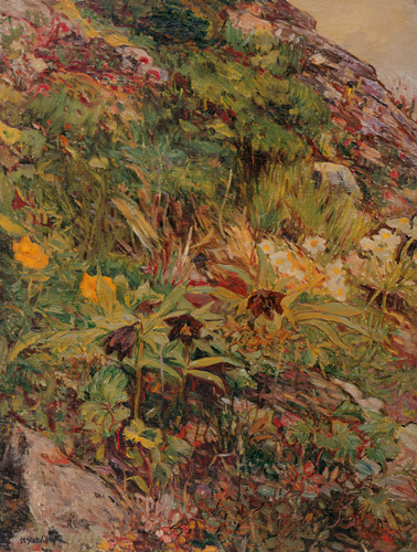 高山植物 [吉田博, 1913-1926年, 近代風景画の巨匠 吉田博展 清新と抒情より] パブリックドメイン画像 
