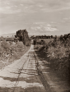 秋晴れ（阿寒国立公園） [結城三郎, ARS Camera 1937年2月号より]のサムネイル画像