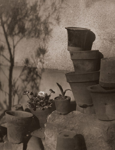 庭の一隅 [山浦翠村, 写真サロン 1937年8月号より] パブリックドメイン画像 