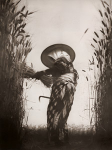 麦秋 [明田耕太郎, 1937年, 写真サロン 1937年8月号より]のサムネイル画像