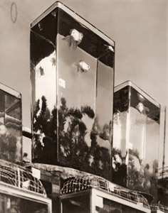 夏来る [小金一, アサヒカメラ 1937年9月号より]のサムネイル画像