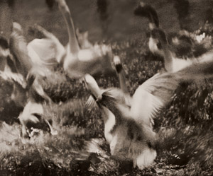 狼狽 [渡邊敏, アサヒカメラ 1937年9月号より]のサムネイル画像