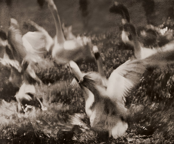 狼狽 [渡邊敏, アサヒカメラ 1937年9月号より] パブリックドメイン画像 