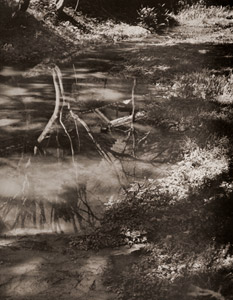 倒影 [小林鳴村, アサヒカメラ 1937年9月号より]のサムネイル画像
