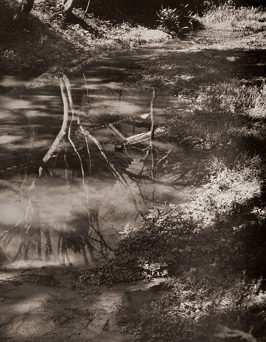 倒影 [小林鳴村, アサヒカメラ 1937年9月号より] パブリックドメイン画像 