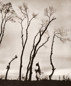 冬木 [久保虹城, 1936年, アサヒカメラ 1937年3月号より]のサムネイル画像