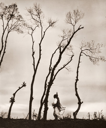 冬木 [久保虹城, 1936年, アサヒカメラ 1937年3月号より] パブリックドメイン画像 