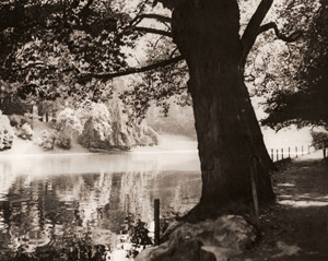 無題（ブローニュの森） [金丸重嶺, アサヒカメラ 1937年3月号より]のサムネイル画像