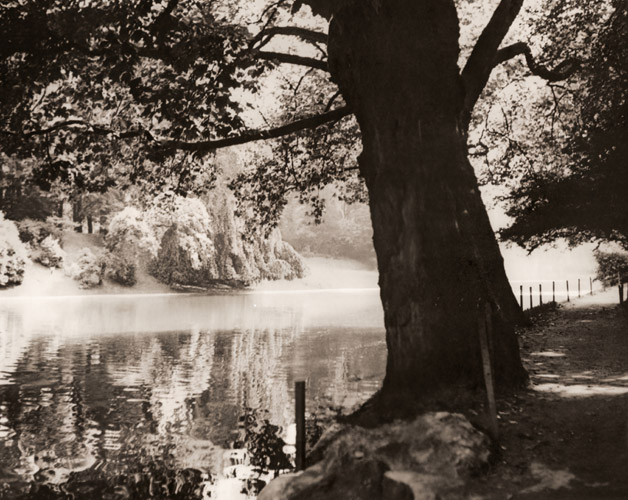 無題（ブローニュの森） [金丸重嶺, アサヒカメラ 1937年3月号より] パブリックドメイン画像 