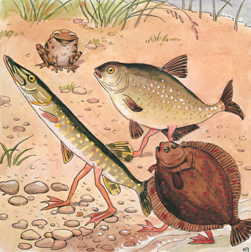 挿絵8 (岸に上がるテンテンおばさんたち） [エルサ・ベスコフ, しりたがりやのちいさな魚のお話より] パブリックドメイン画像 