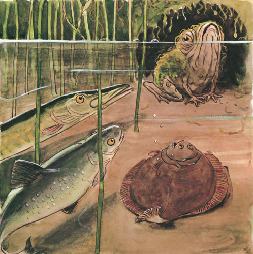 挿絵7 (カエルのプクプクバーバに水のないところで息ができる魔法をかけてとお願いするテンテンおばさんたち） [エルサ・ベスコフ, しりたがりやのちいさな魚のお話より] パブリックドメイン画像 