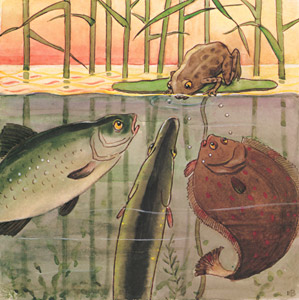 挿絵6 (テンテンおばさんたちにスイスイが人間に釣り上げられたことを伝えるカエルのピョンコ） [エルサ・ベスコフ, しりたがりやのちいさな魚のお話より]のサムネイル画像