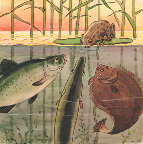 挿絵6 (テンテンおばさんたちにスイスイが人間に釣り上げられたことを伝えるカエルのピョンコ） [エルサ・ベスコフ, しりたがりやのちいさな魚のお話より] パブリックドメイン画像 