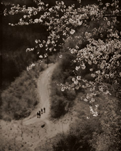 峠春色 [中居正躬, アサヒカメラ 1938年6月号より]のサムネイル画像