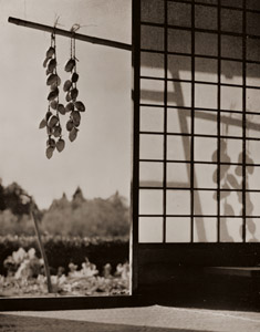 秋の陽ざし [河村弘, アサヒカメラ 1938年6月号より]のサムネイル画像